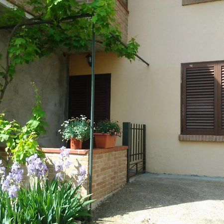 Appartamento In Collina "La Perla" Riparbella Luaran gambar