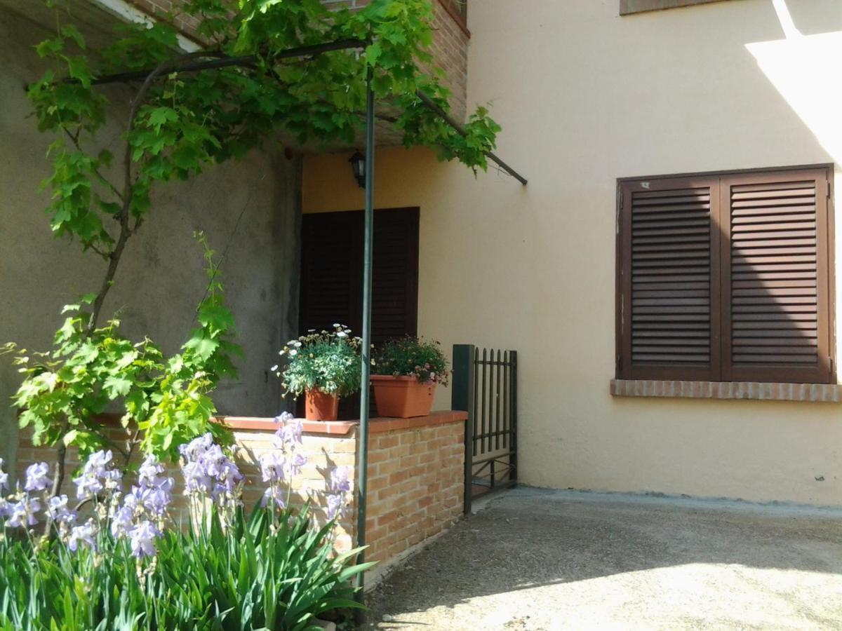 Appartamento In Collina "La Perla" Riparbella Luaran gambar